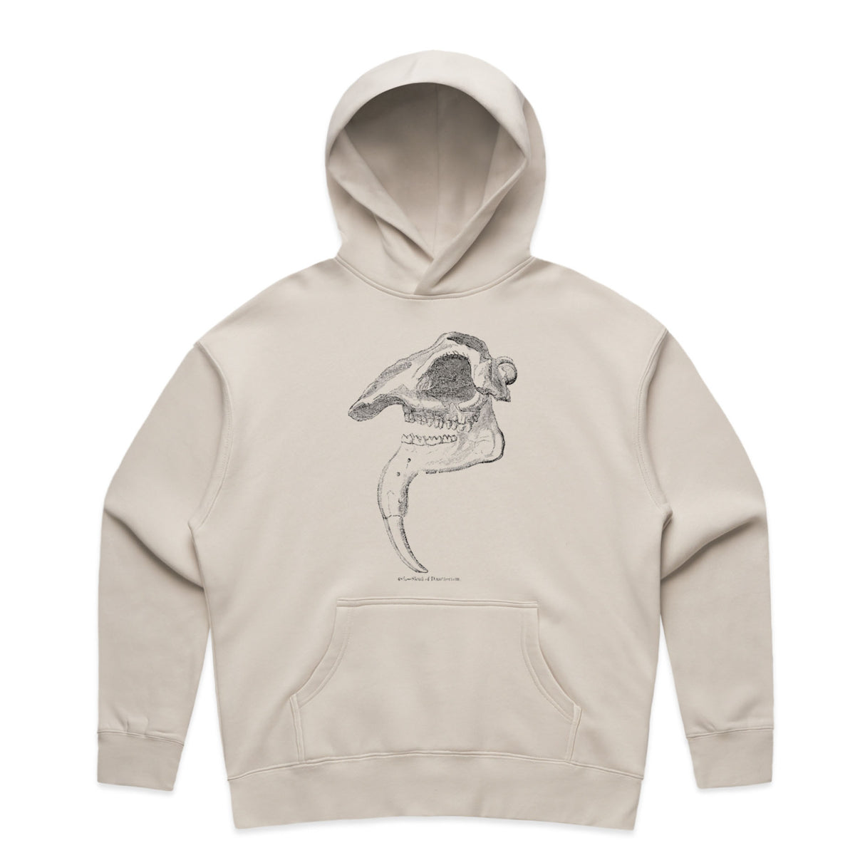 Bone