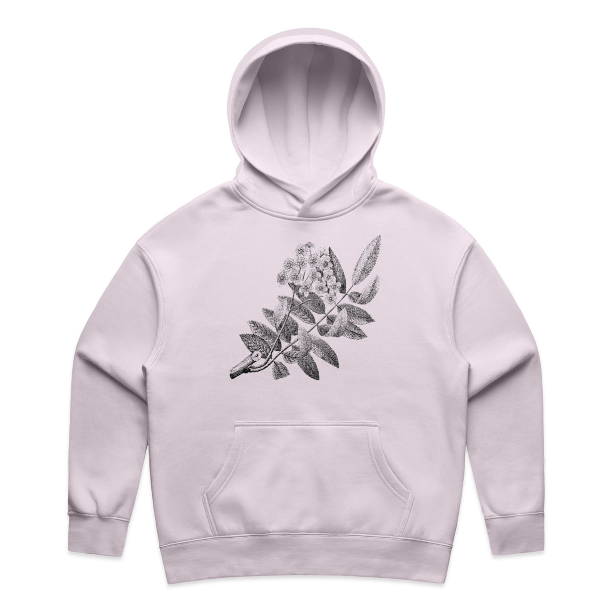 Orchid