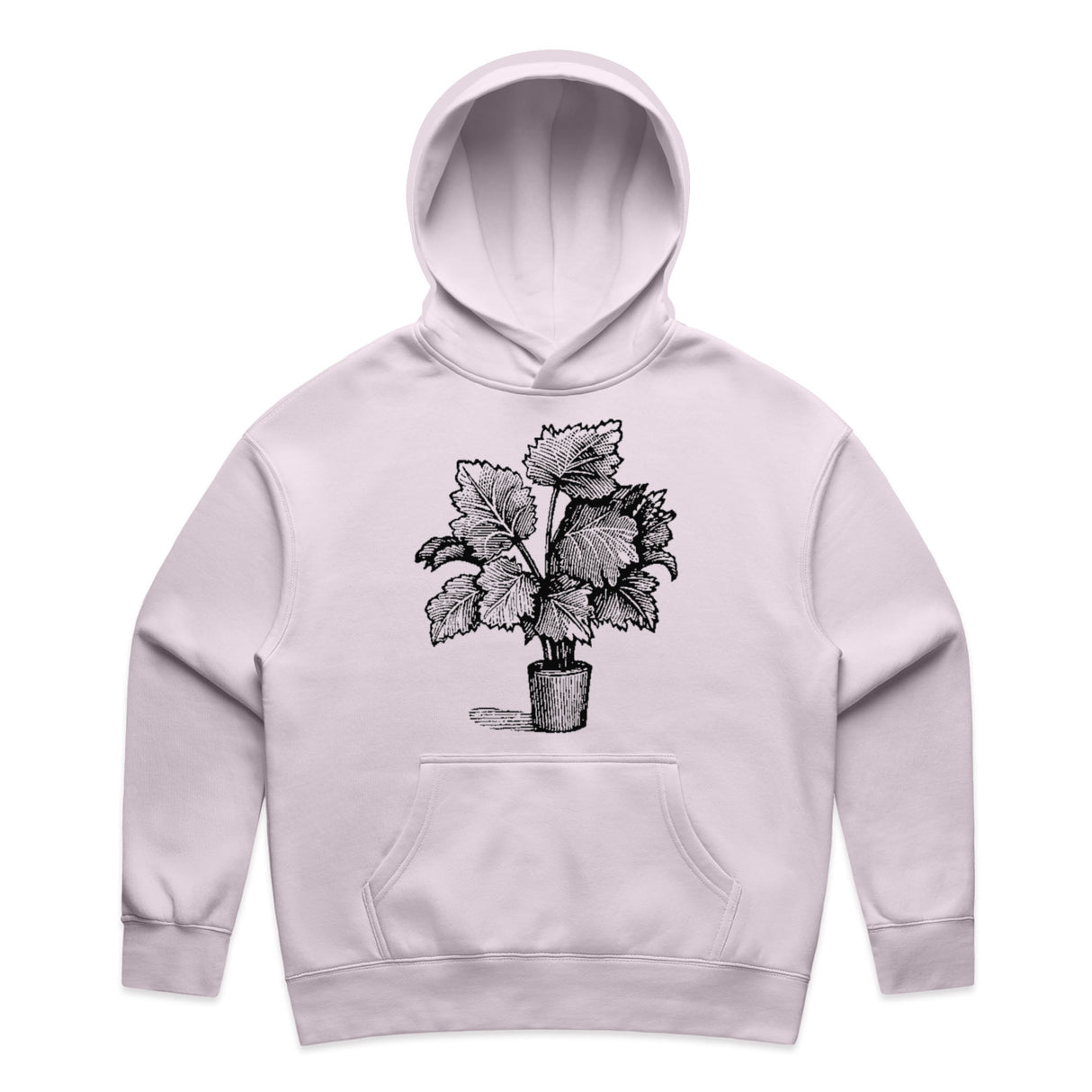 Orchid