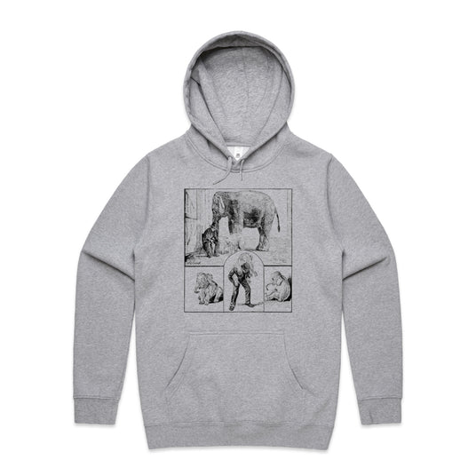 Grey Marle